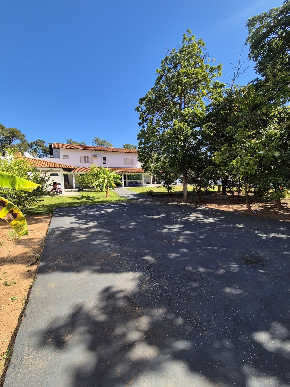 Jardim com árvores e caminho até a casa